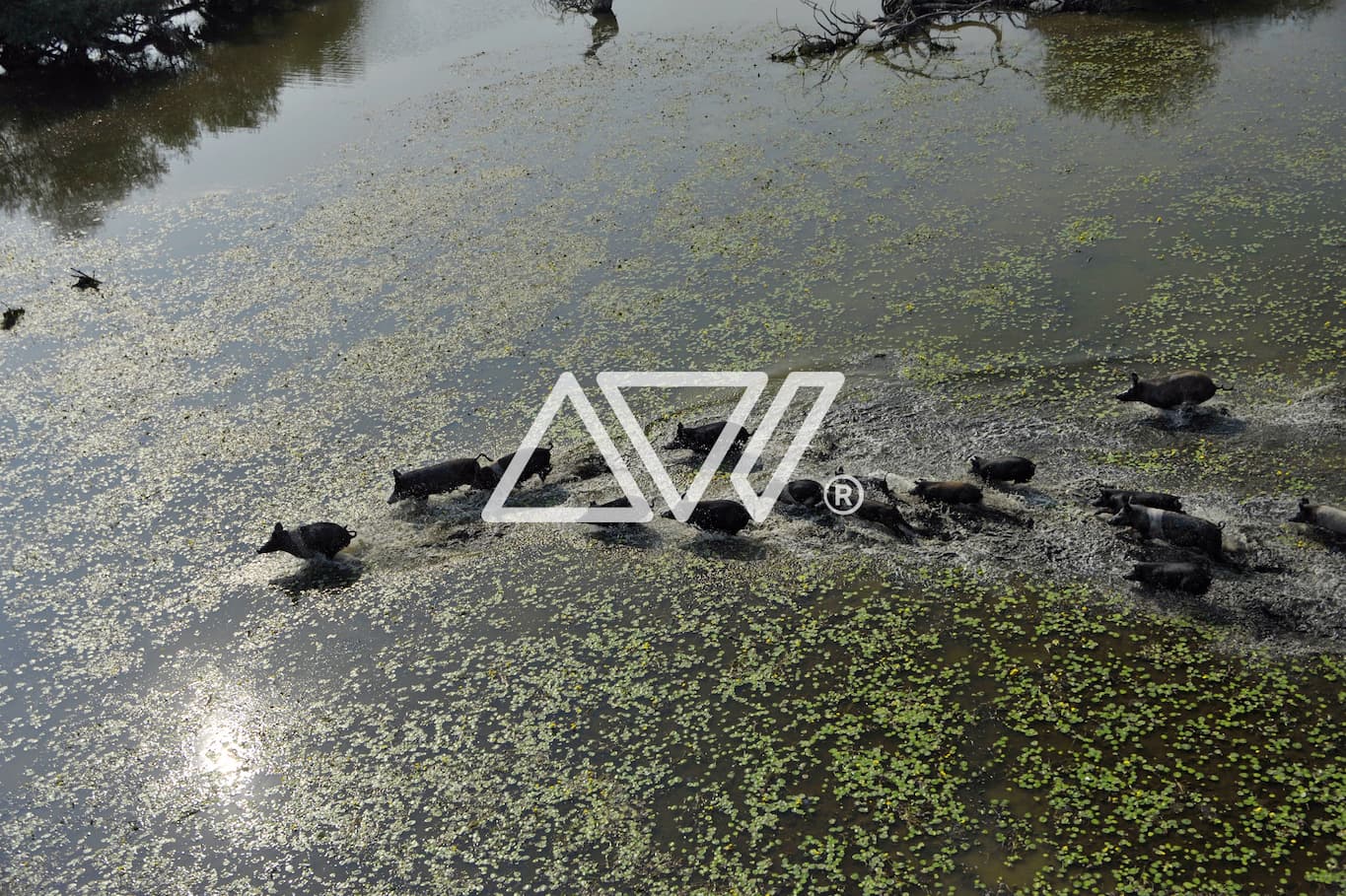 Frame 40 (1) Artware Photography