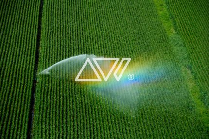 Artware Photography