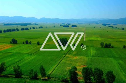 Artware Photography